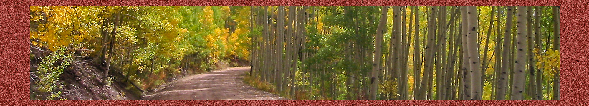 Larkspur Mountain near Aspen