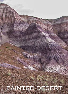 Painted Desert